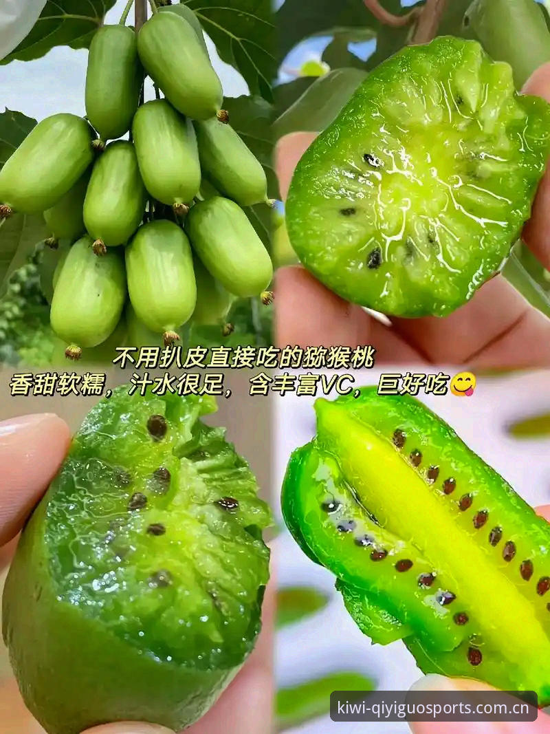 奇异果体育官方版本安全吗?实测注册与下载操作教程